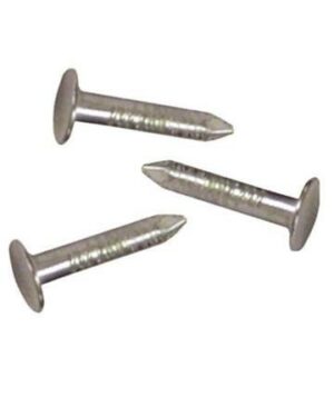 CHIODI BARDOLINE MM 20 PER TEGOLA BITUMINOSA PZ. 250